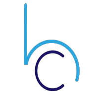 bitsCrunch logo