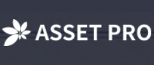 Asset Pro logo