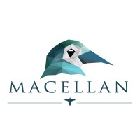 Macellan Payments logo